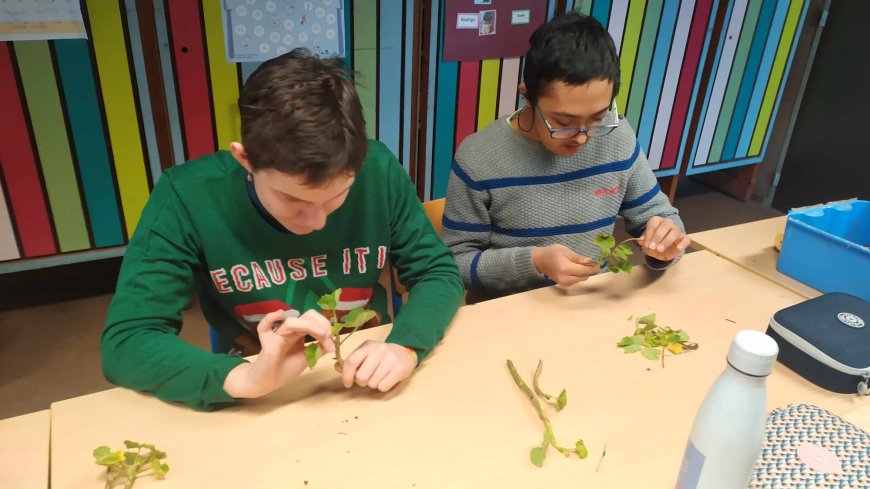 Activités de fin d'année à Chièvres