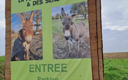 Sortie pédagogique " Ferme des ânes "