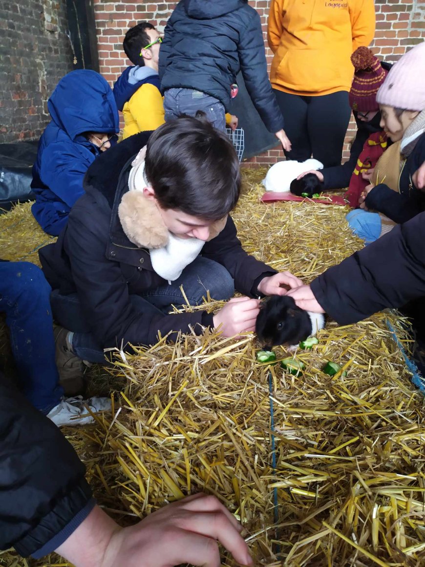 Sortie pédagogique " Ferme des ânes "