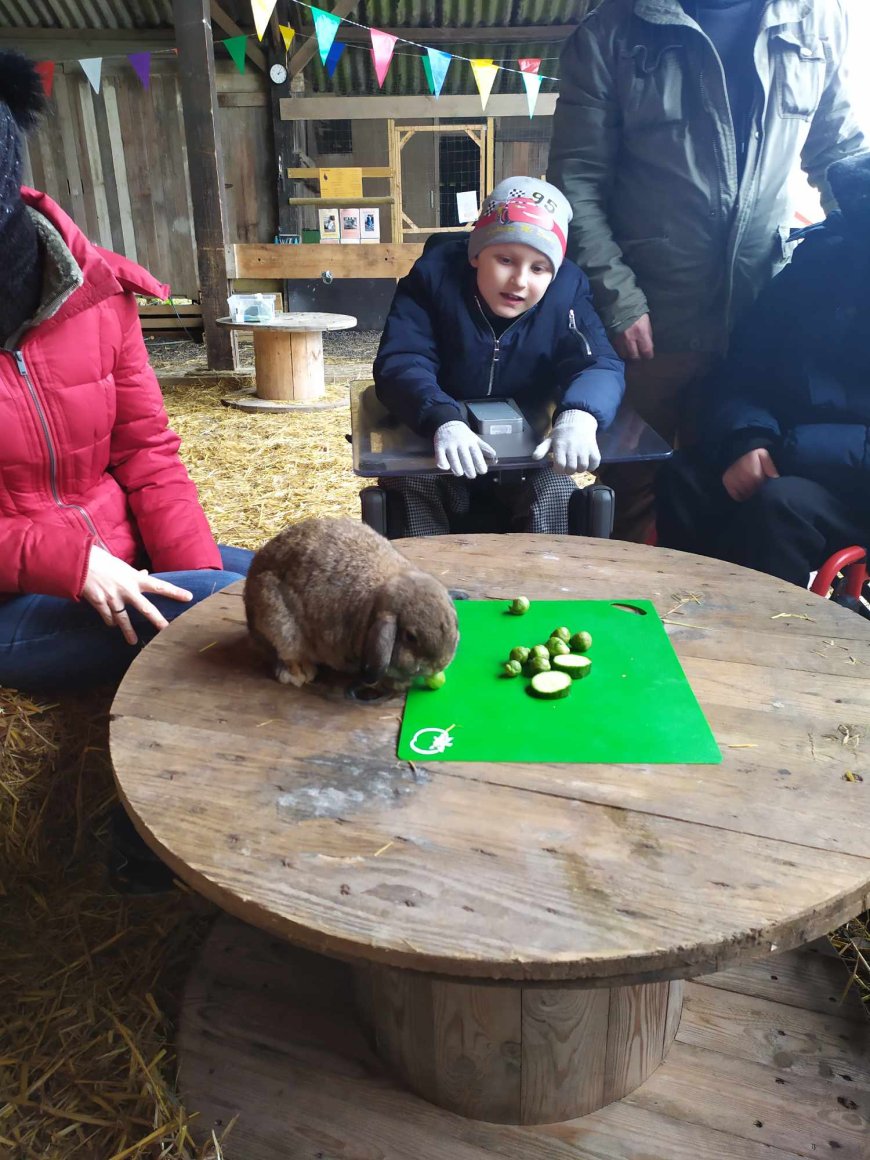 Sortie pédagogique " Ferme des ânes "