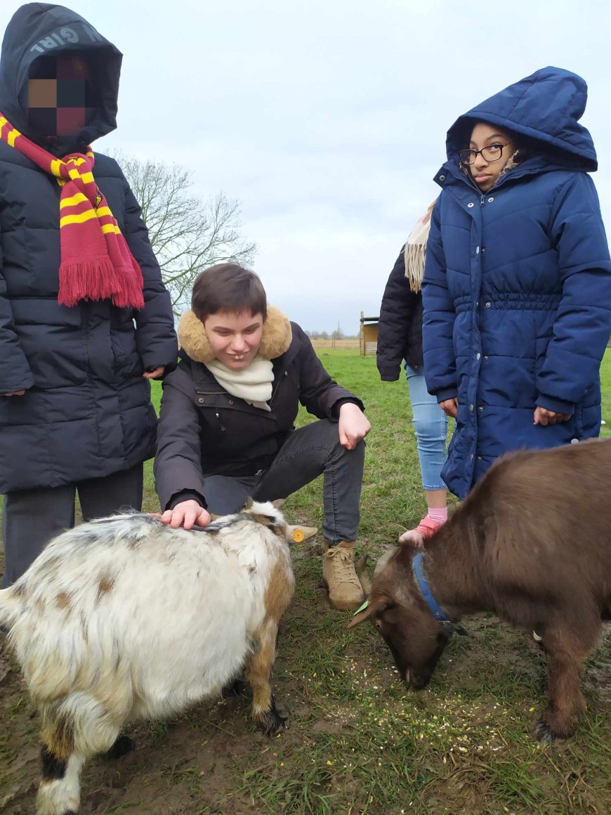 Sortie pédagogique " Ferme des ânes "