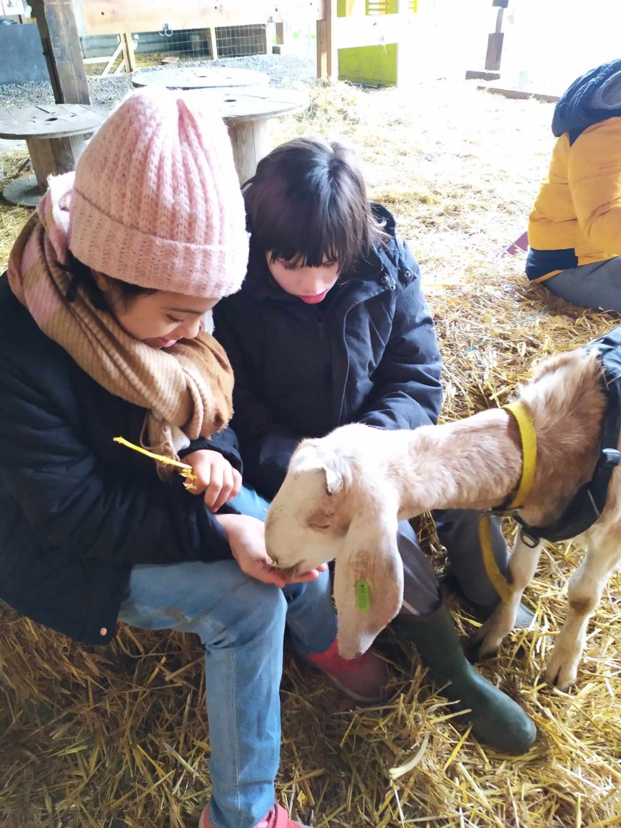 Sortie pédagogique " Ferme des ânes "