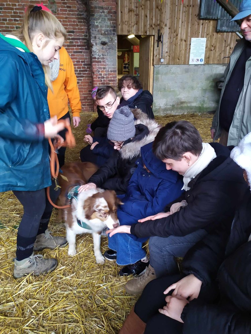 Sortie pédagogique " Ferme des ânes "