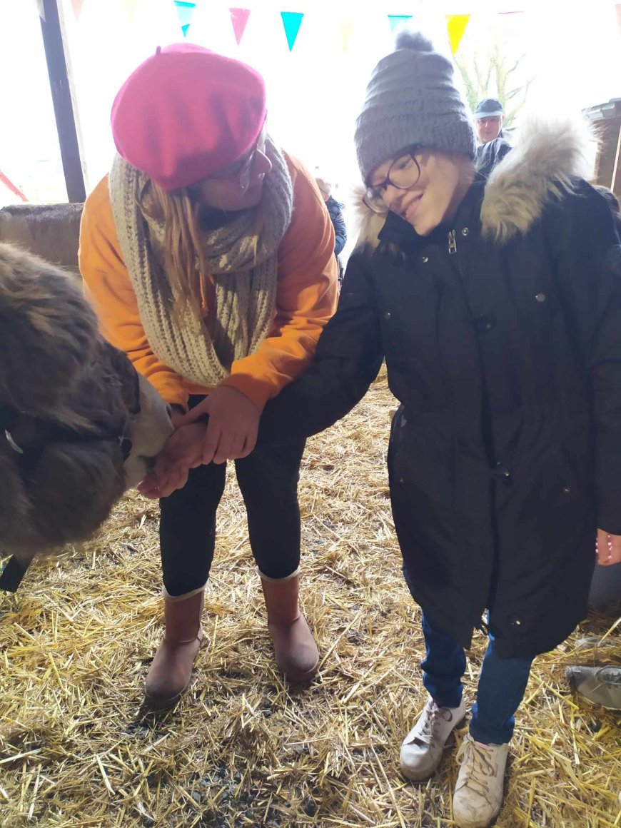 Sortie pédagogique " Ferme des ânes "