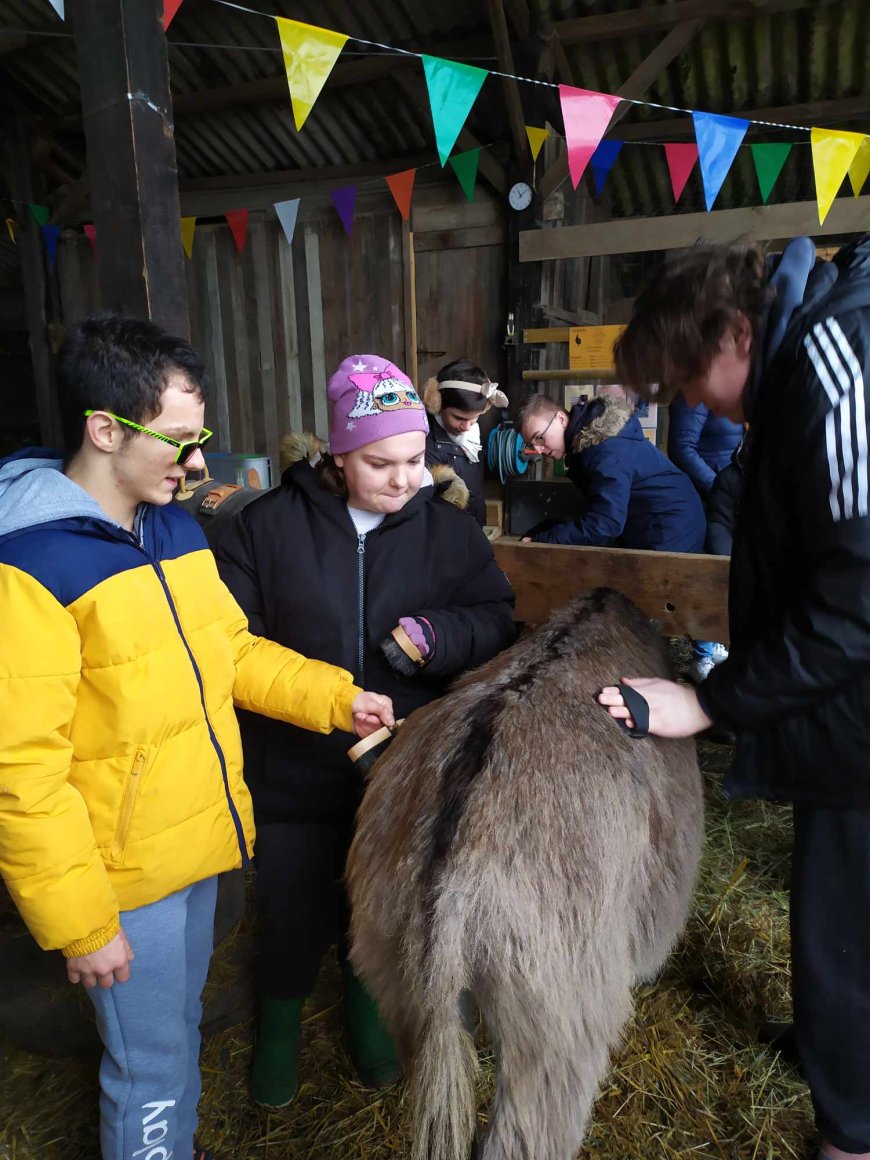 Sortie pédagogique " Ferme des ânes "