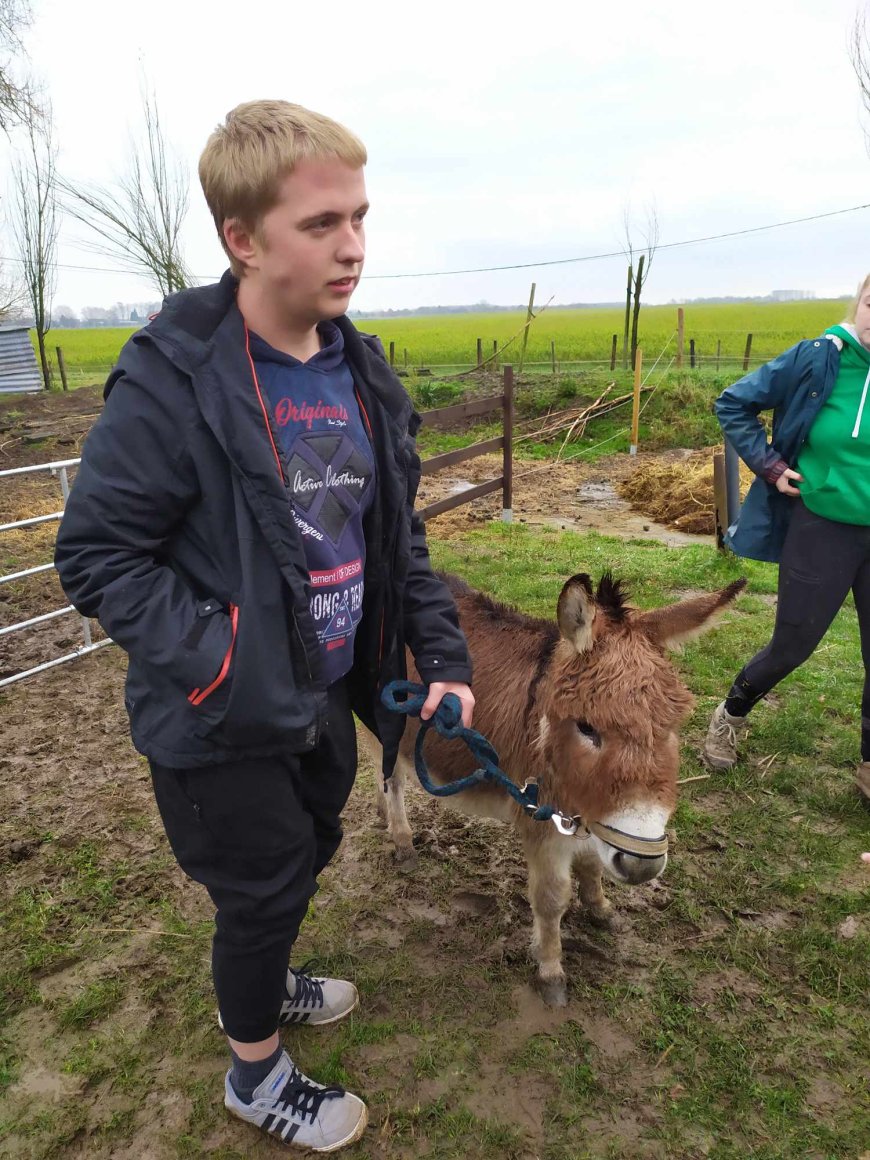 Sortie pédagogique " Ferme des ânes "