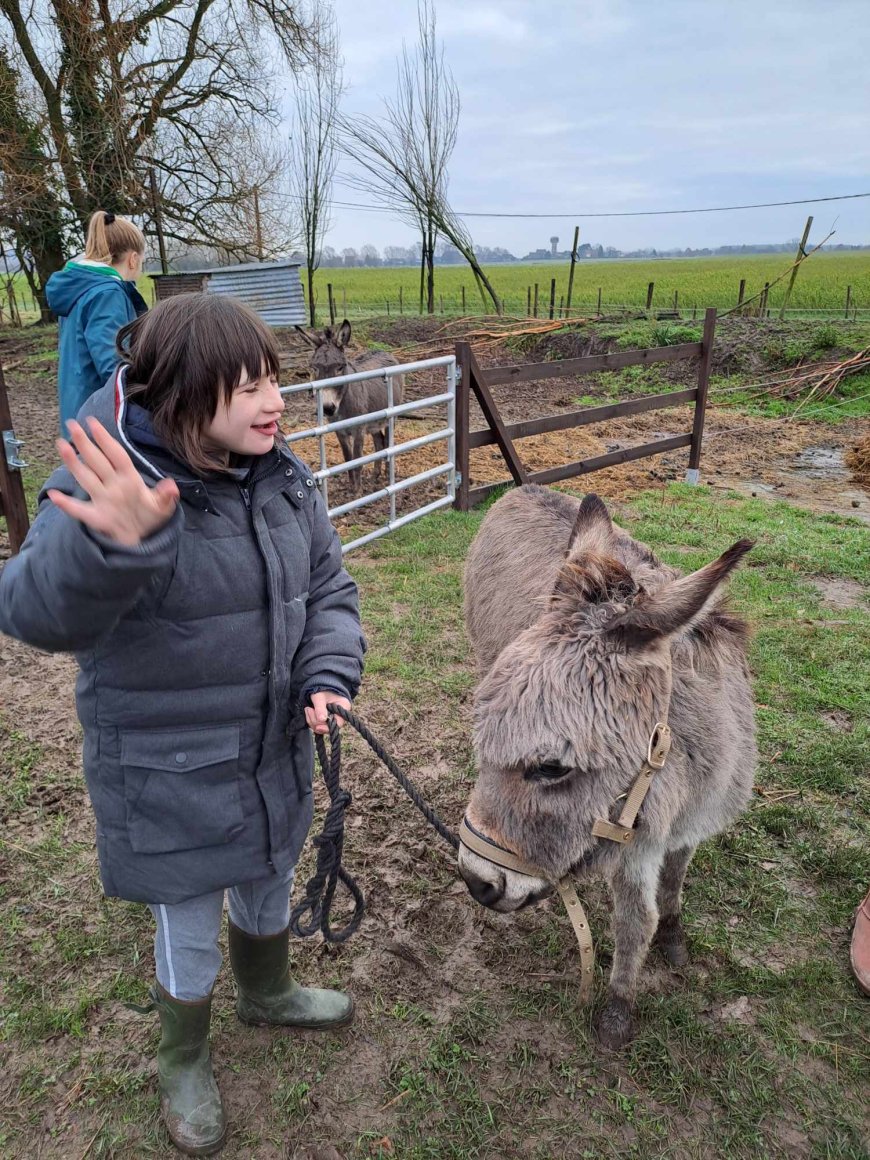 Sortie pédagogique " Ferme des ânes "