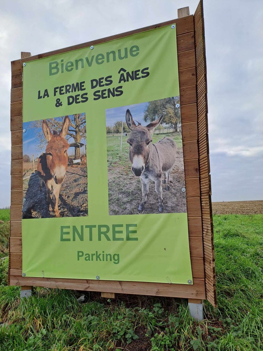 Sortie pédagogique " Ferme des ânes "