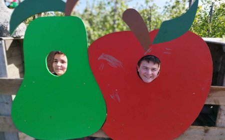 Balade des vergers à Brunehaut