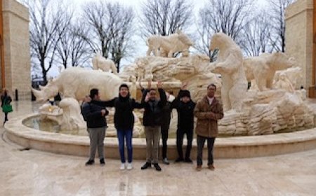 Sortie à Pairi Daiza