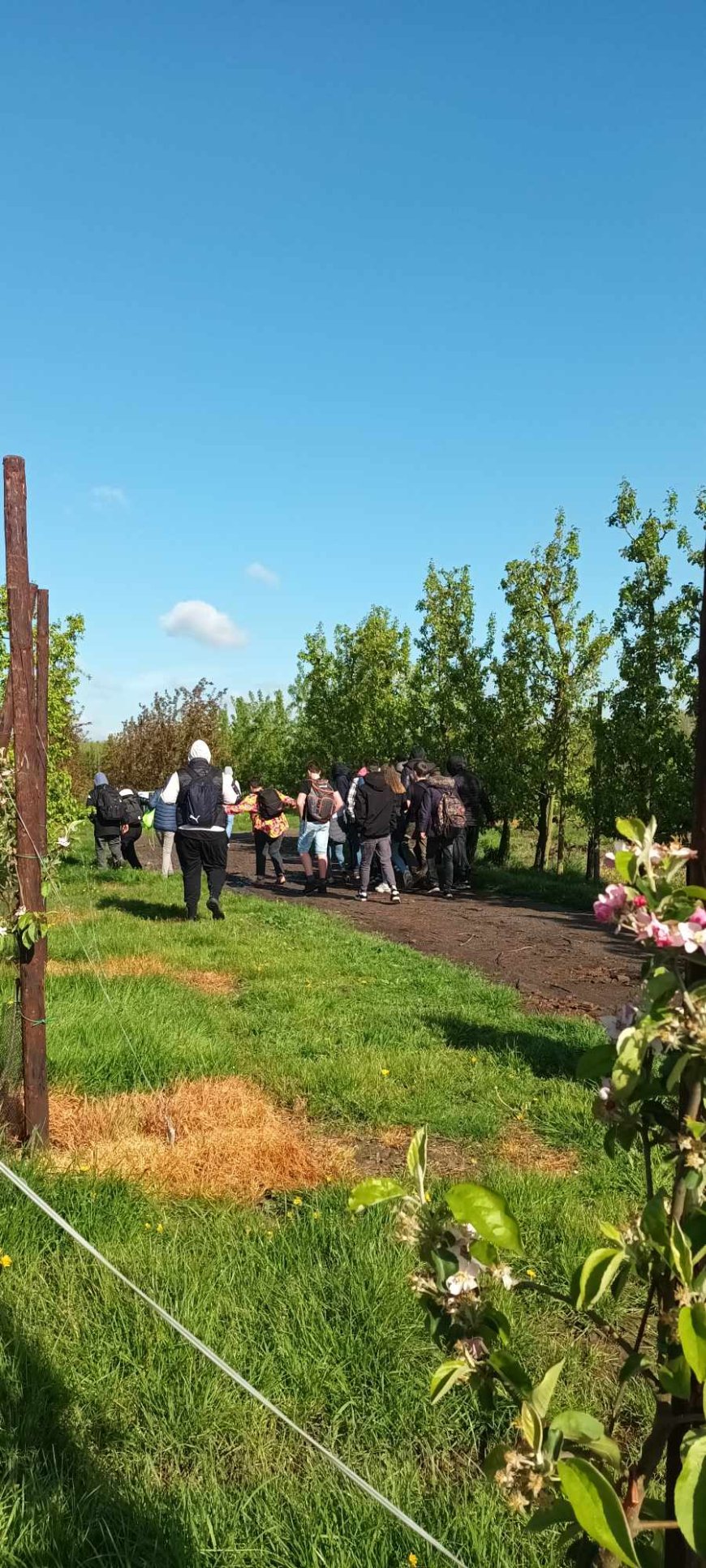 Balade des vergers à Brunehaut