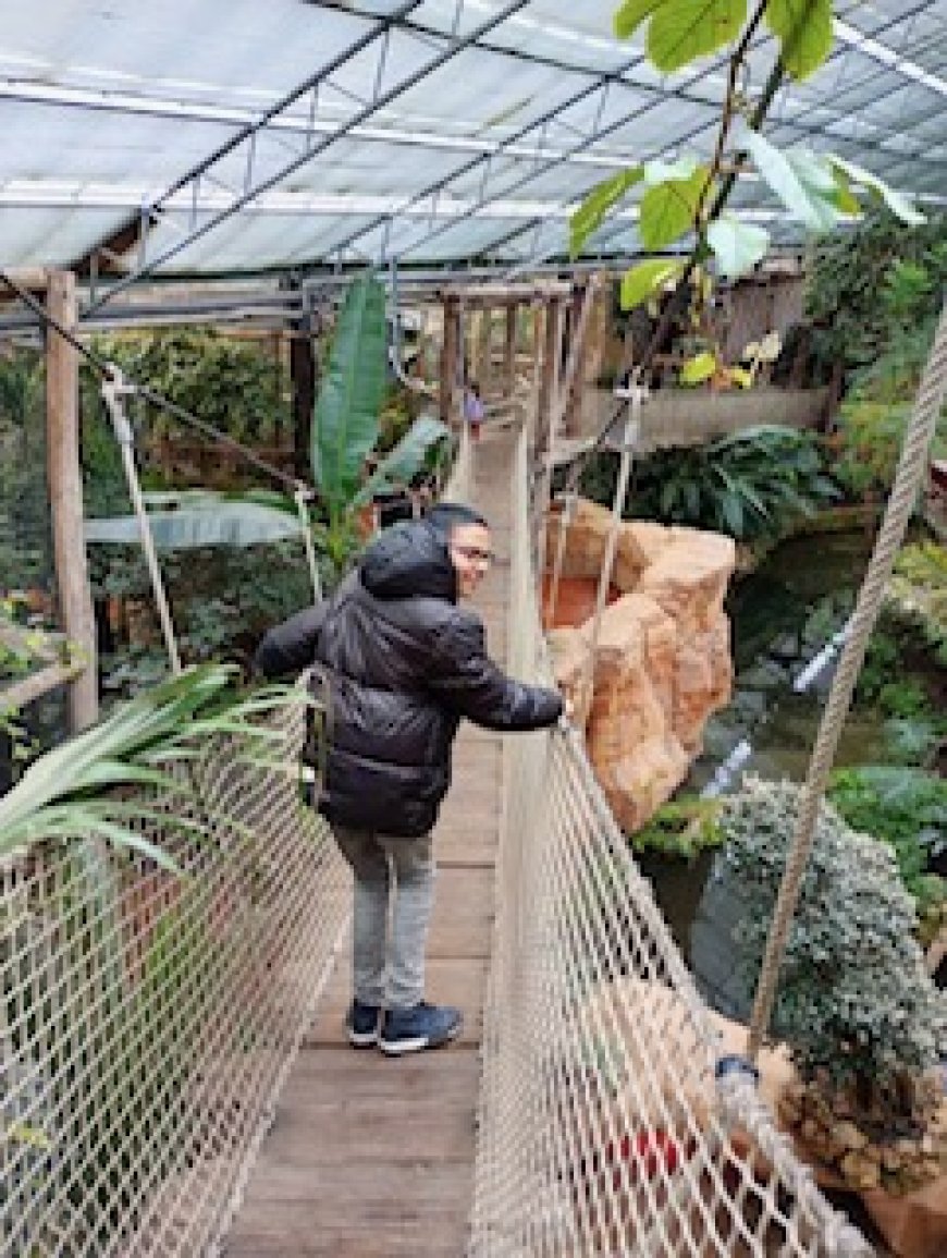 Sortie à Pairi Daiza