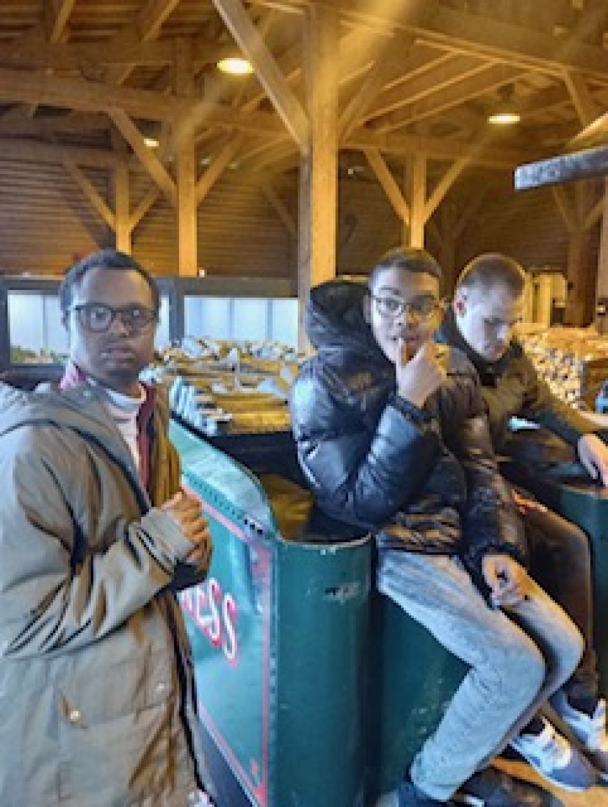 Sortie à Pairi Daiza