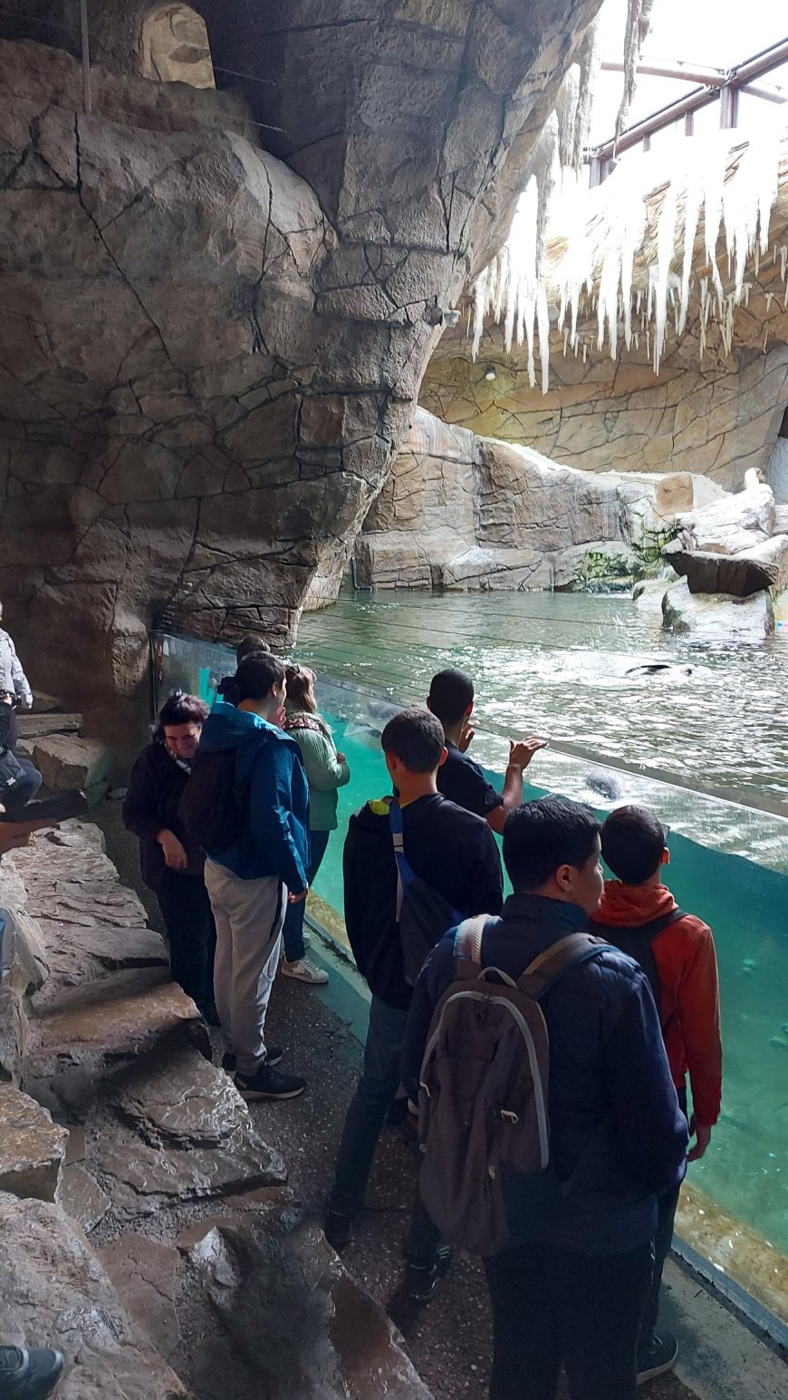 Les F2Ta à Pairi Daiza
