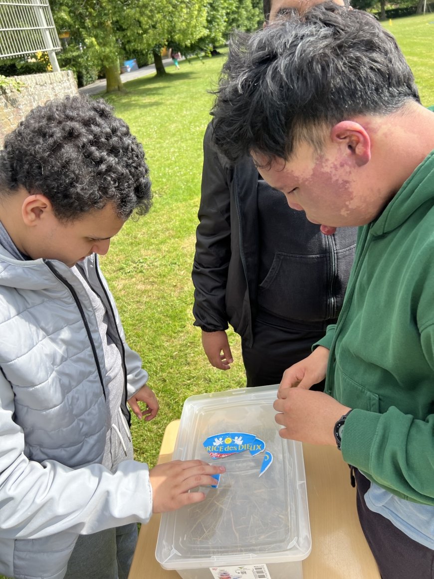 Journée à l'ARTE Mouscron pour les classes TEACCH