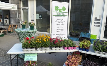 Marché aux les fleurs