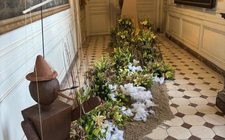 Exposition d’Amaryllis au Château de Beloeil.