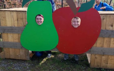 Marche des vergers en fleurs