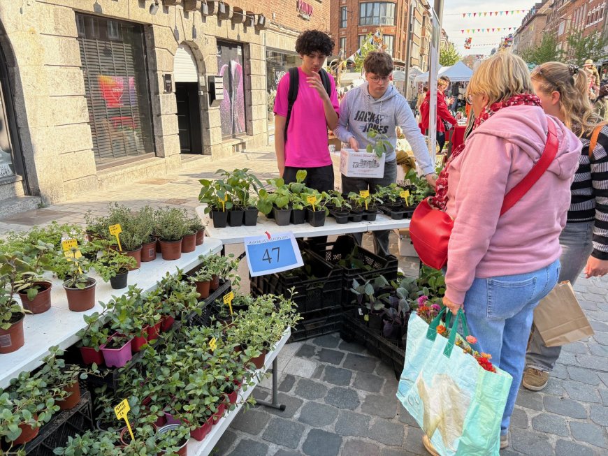 Marché aux les fleurs