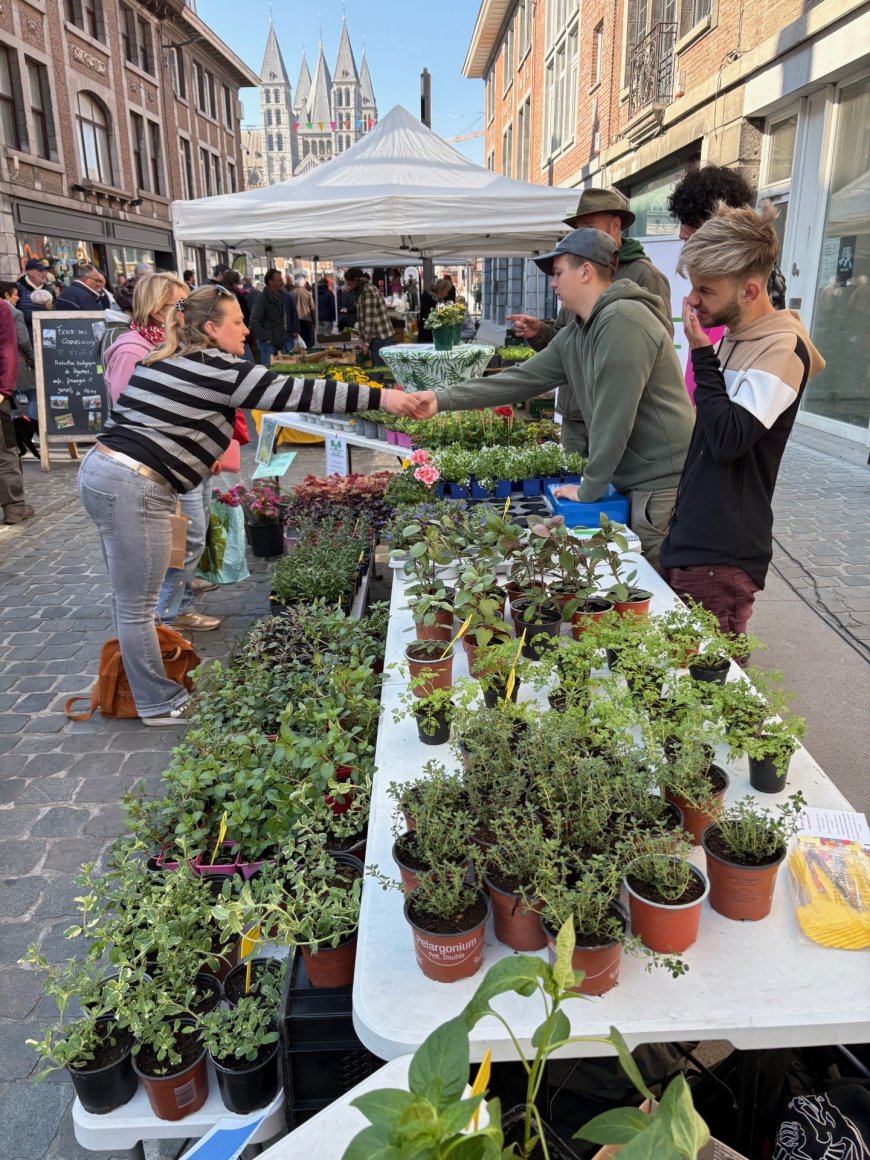 Marché aux les fleurs