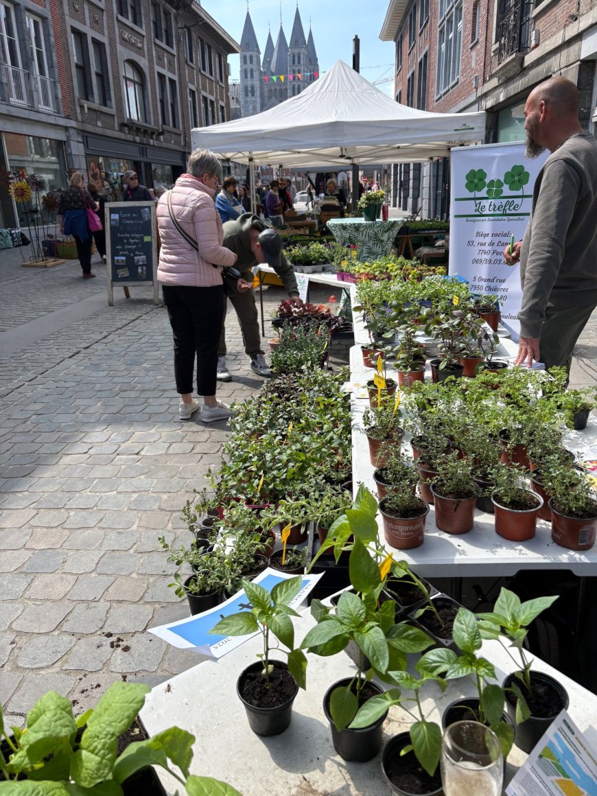 Marché aux les fleurs