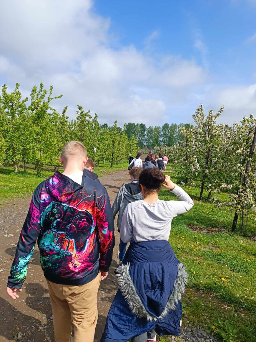 Marche des vergers en fleurs