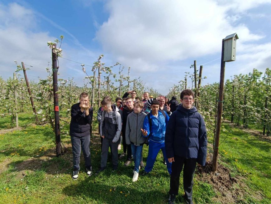 Marche des vergers en fleurs