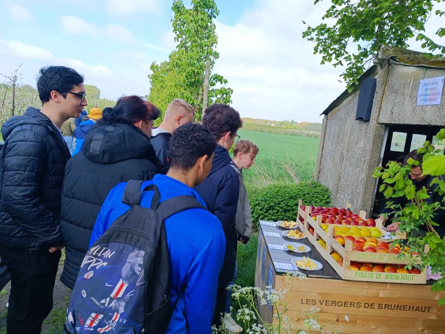 Marche des vergers en fleurs