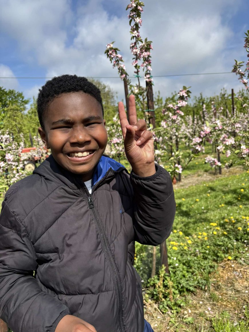 Marche des vergers en fleurs