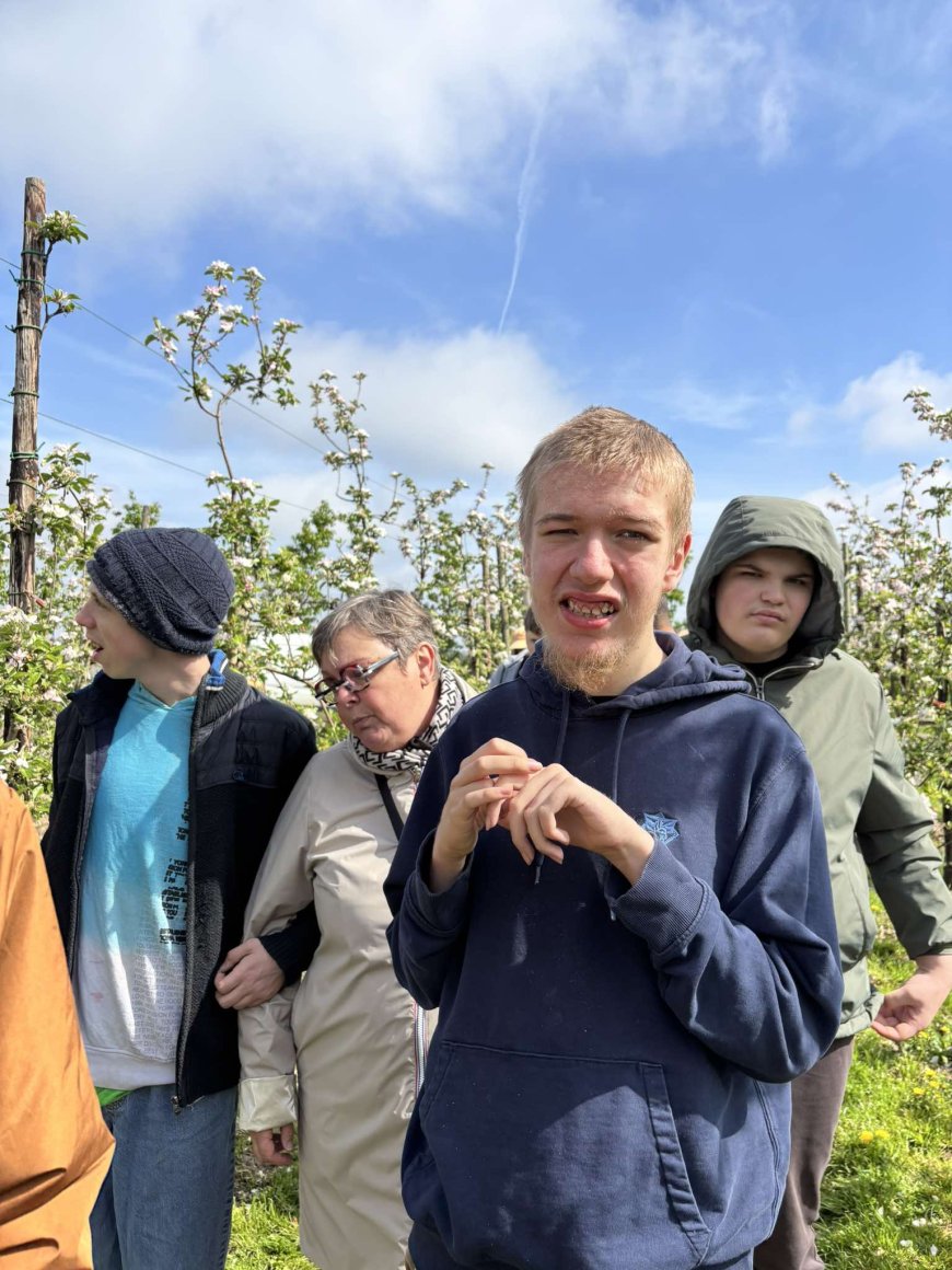 Marche des vergers en fleurs