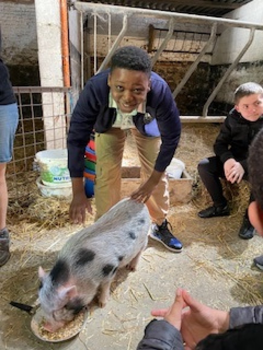 Ferme pédagogique